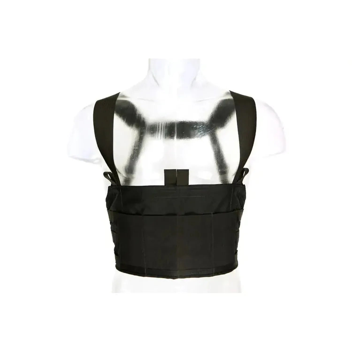 Ten-Speed M4 Chest Rig
